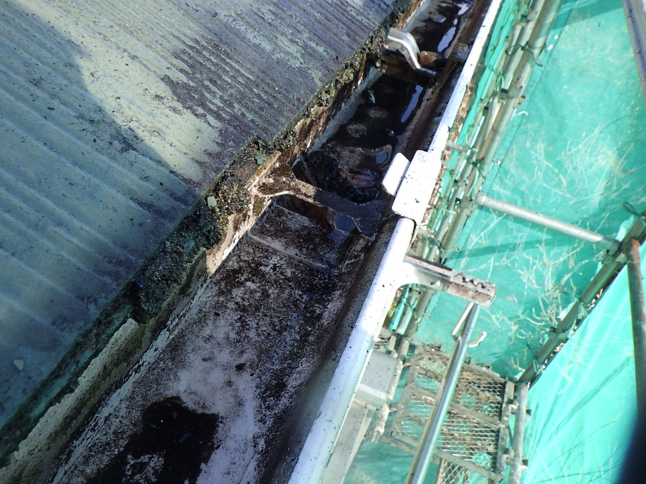 雨樋内部の詰まりと劣化