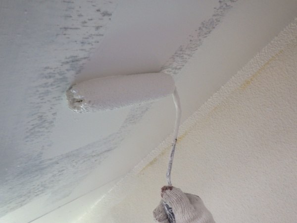 軒天の１回目塗装中です