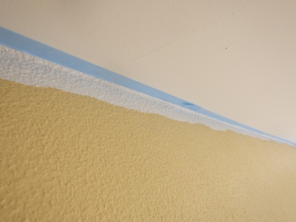 軒天に養生をしました