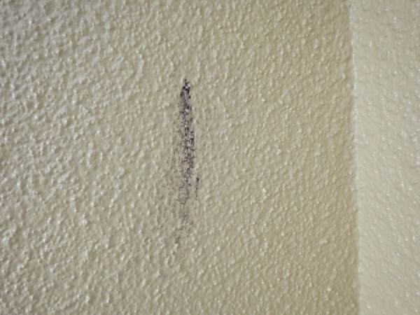 外壁に付いた塗料です