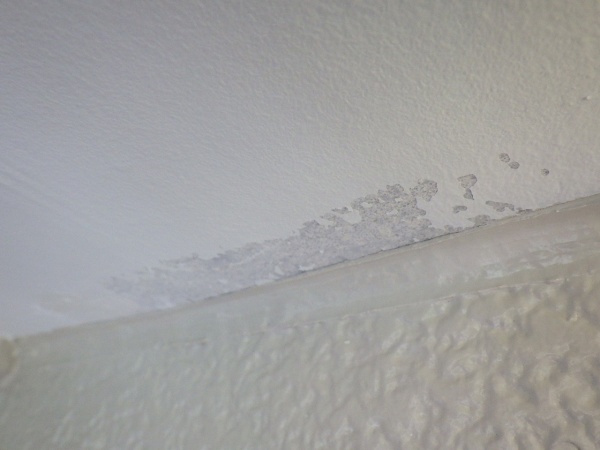 軒天の補修前の状態です