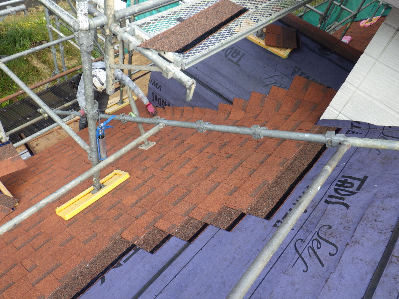 ドーマの立ち上げ中です