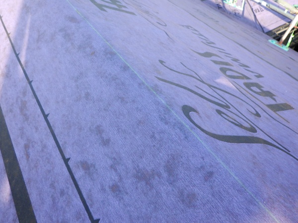 墨を引きました