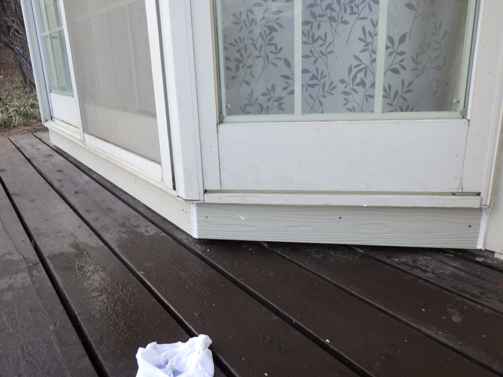 サイデイングシーリング終了