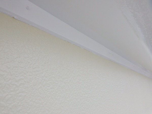 取り合い養生を剥がしました