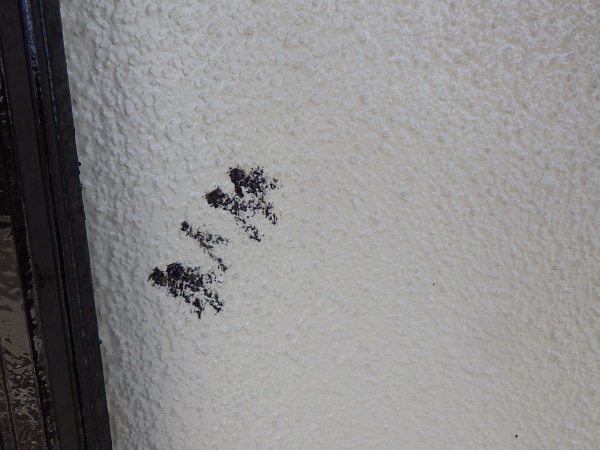 窯業系外壁のダメ直し前です