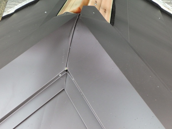 大棟を納めました