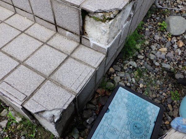玄関タイルの破損個所です