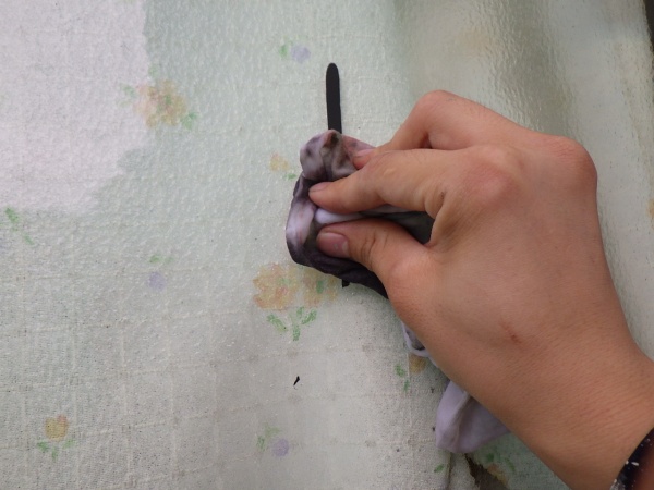 外壁塗装の清掃中です