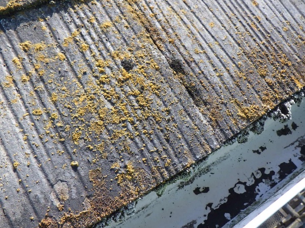 施工前のスレート屋根の状態です