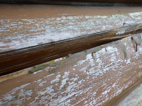 丸太シーリングの撤去終了です