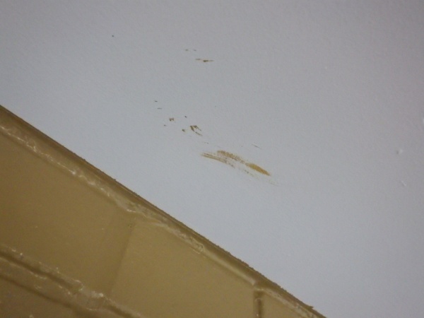 軒天の補修前の状態です