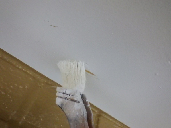 軒天の補修中です