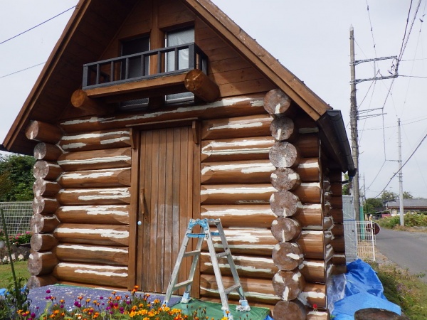 ログハウス丸太部分の下塗り終了です