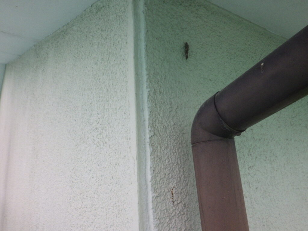 外壁目地打ち替え終了