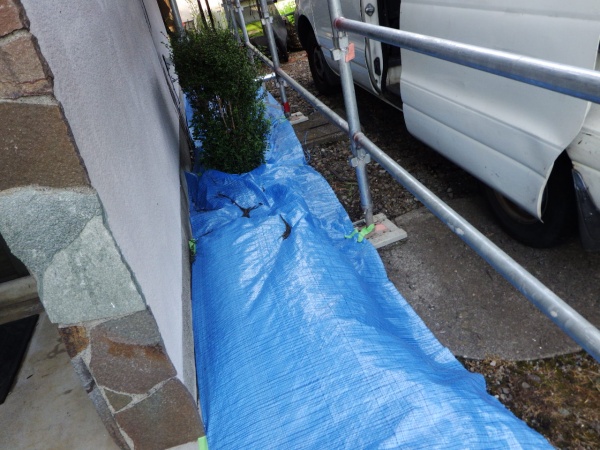 土間養生をしました