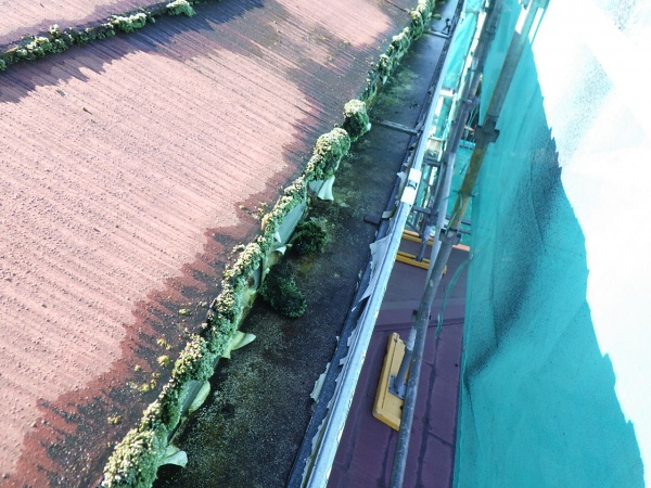 洗浄前の屋根の状態です
