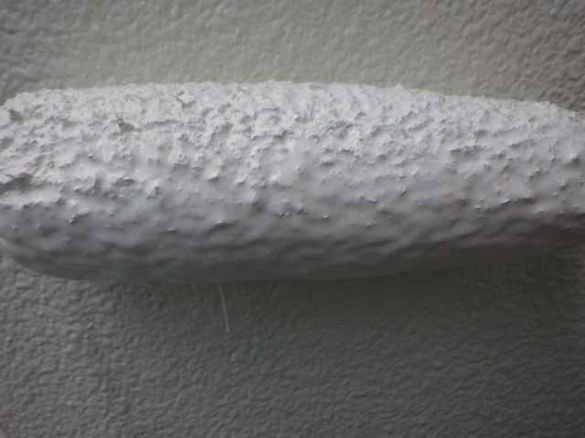 外壁上段の上塗り中です