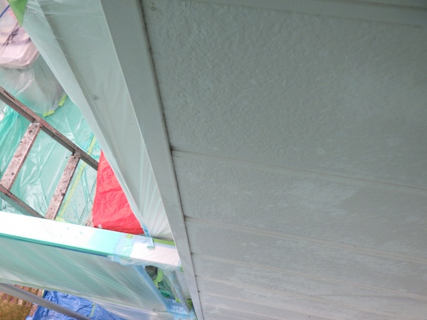 雨樋を取り外しました