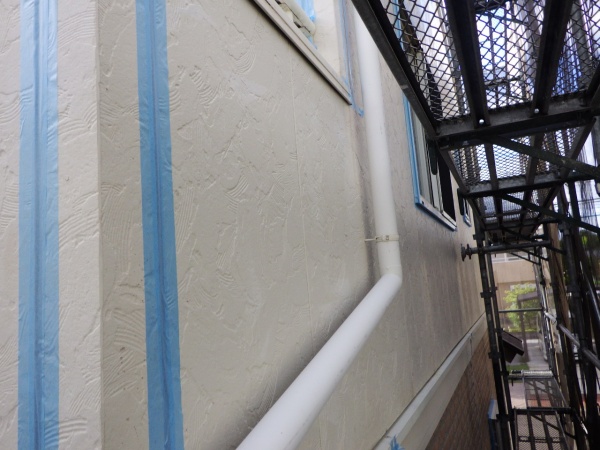 雨養生をしました