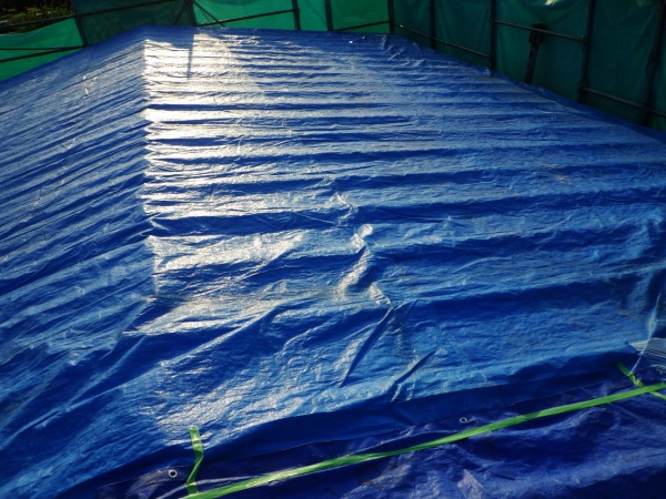 雨養生をしました