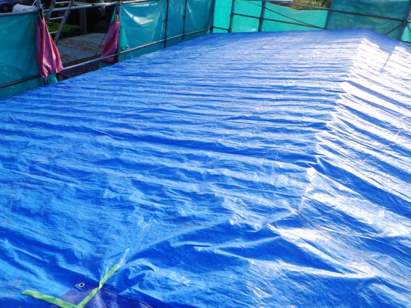 雨養生をしました