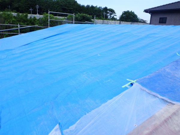 雨養生をしました