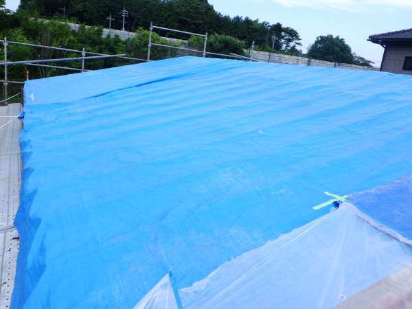 雨養生をしました