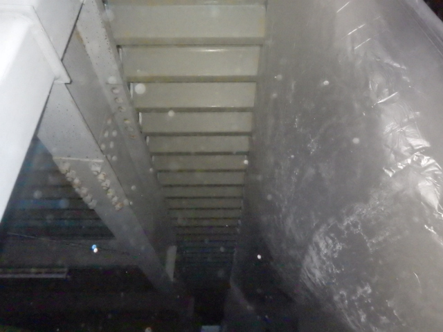 皮すきでのケレン終了です