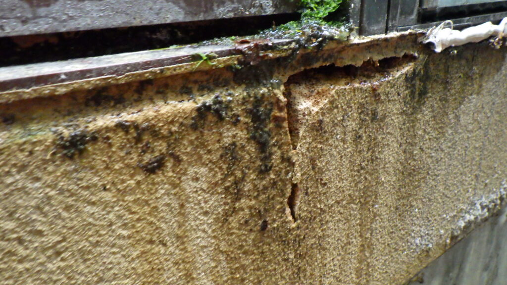 施工前の外壁の状態です