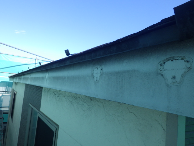 雨樋の撤去終了です