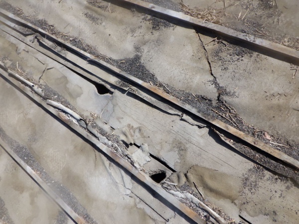 瓦撤去後の屋根の状態です