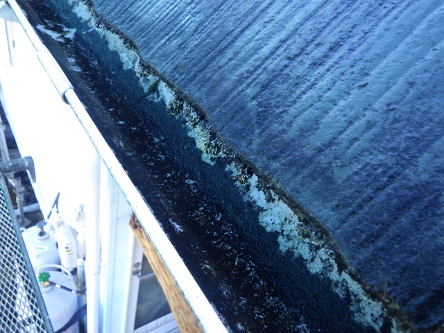 施工前の軒先の状態です