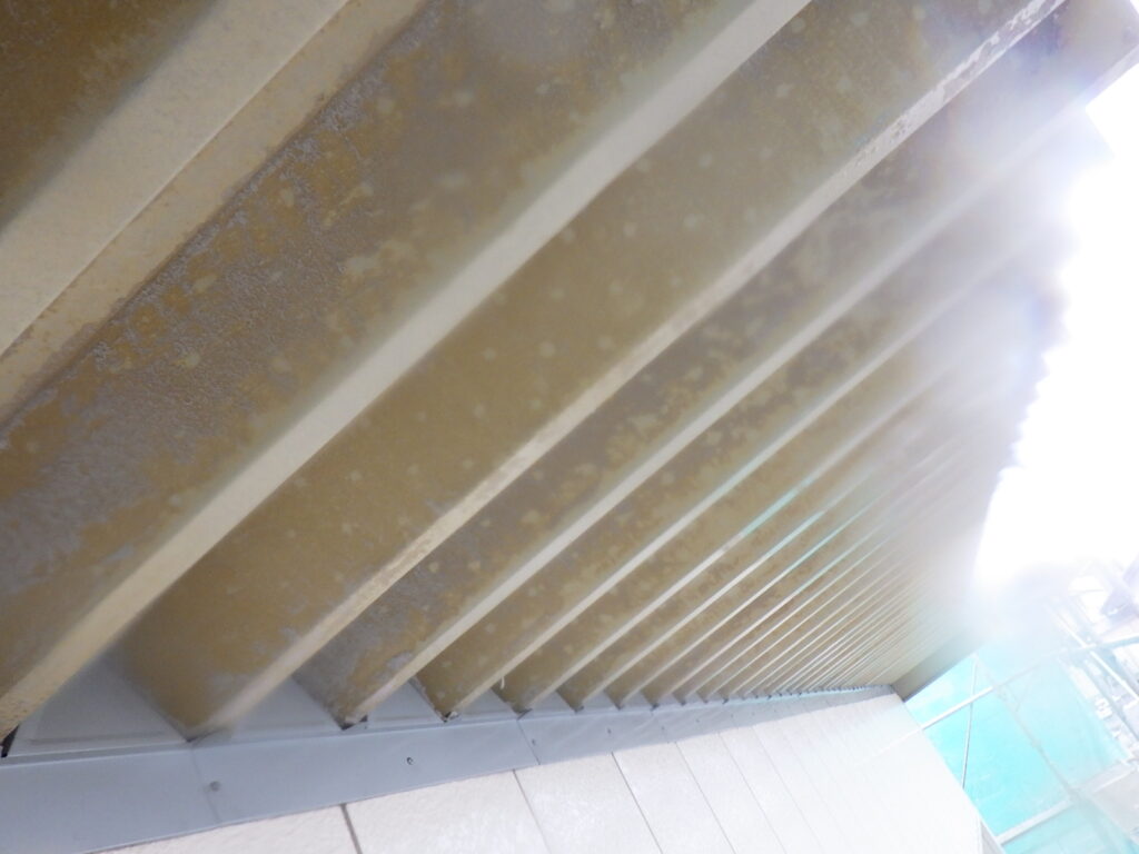 ペフの撤去終了です