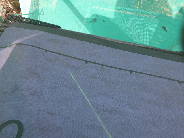 墨を引きました