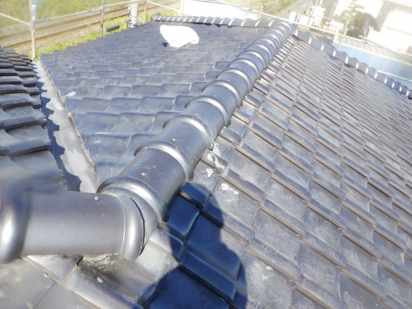 ラバーロック終了です