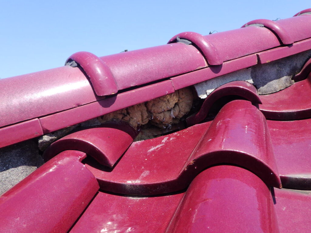 施工前の漆喰の状態です