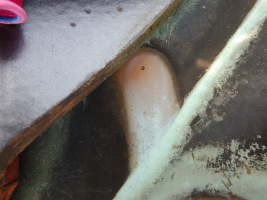 大屋根の雨漏り箇所です