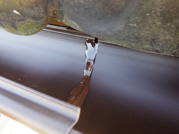 内側にもボンドを入れます