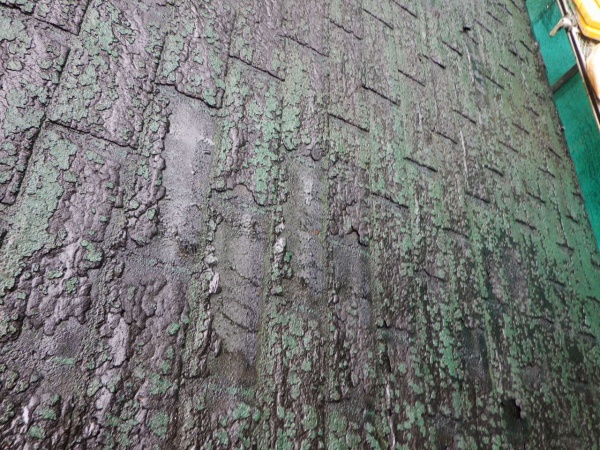 北面の高圧洗浄終了です