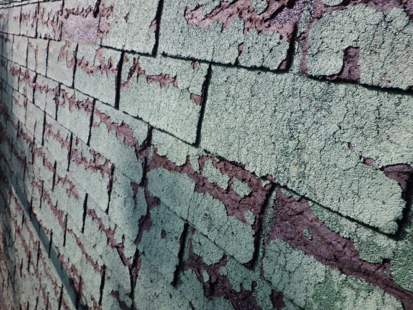 南面の高圧洗浄終了です