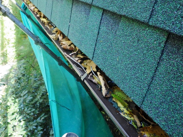 清掃前の軒樋の状態です