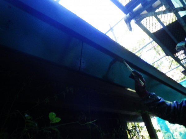 破風板の上塗り塗装中です