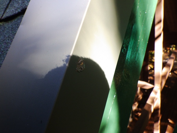 釘頭のシーリング完了です