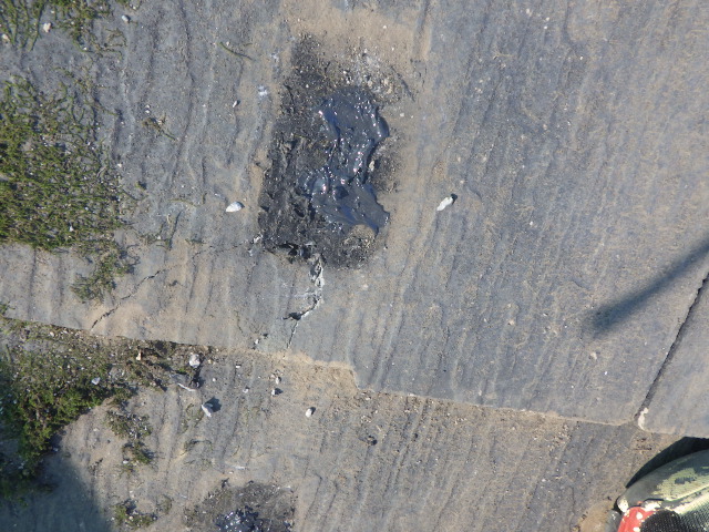 シーリング終了です