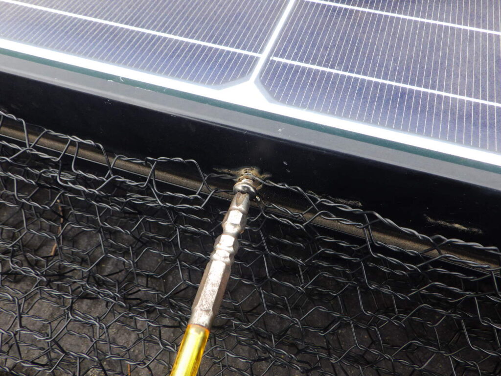 鳥よけの金網外し中です