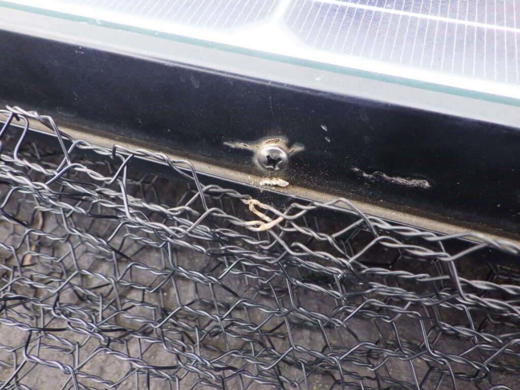 鳥よけの金網外し中です