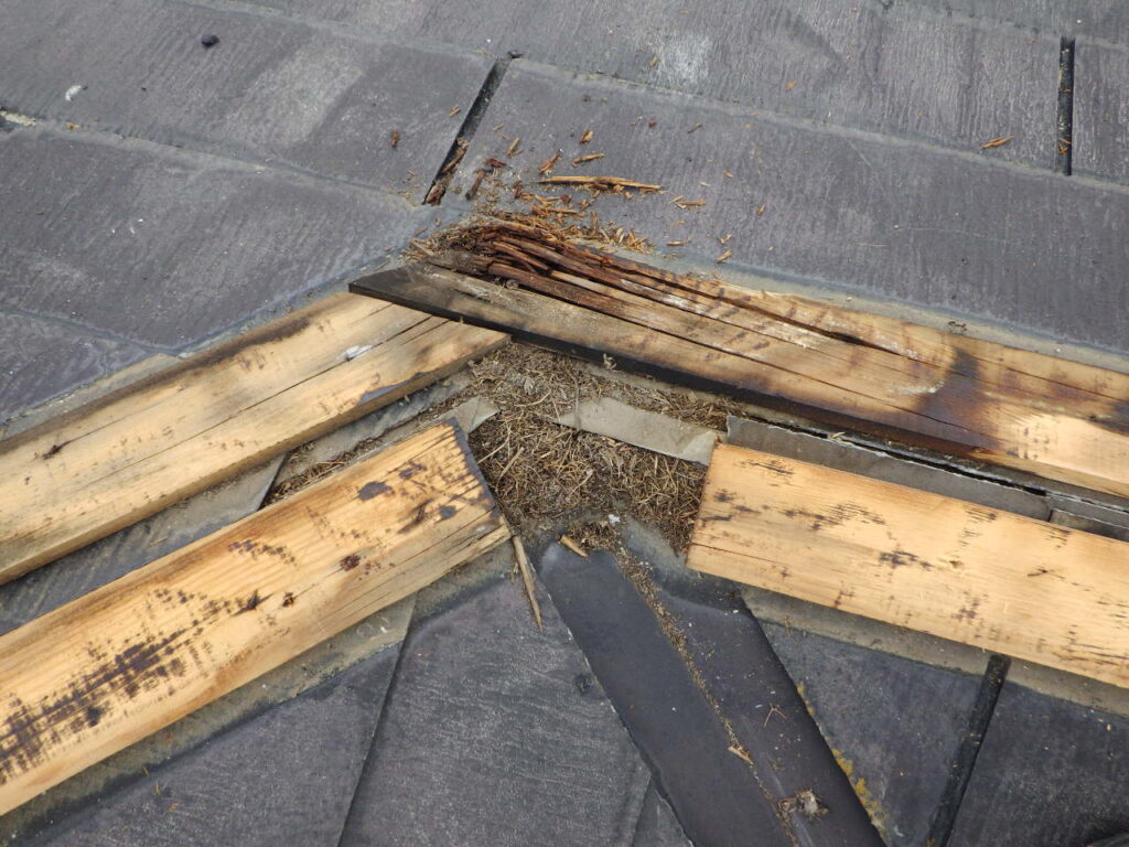 棟板金の撤去終了です