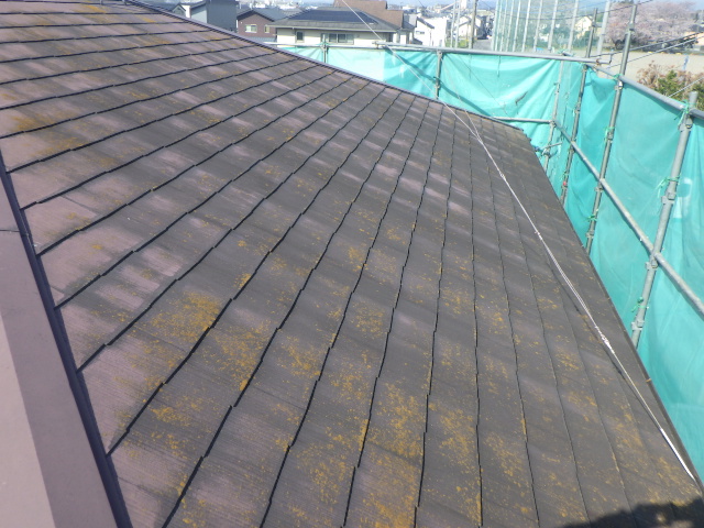 施工前の屋根の状態です
