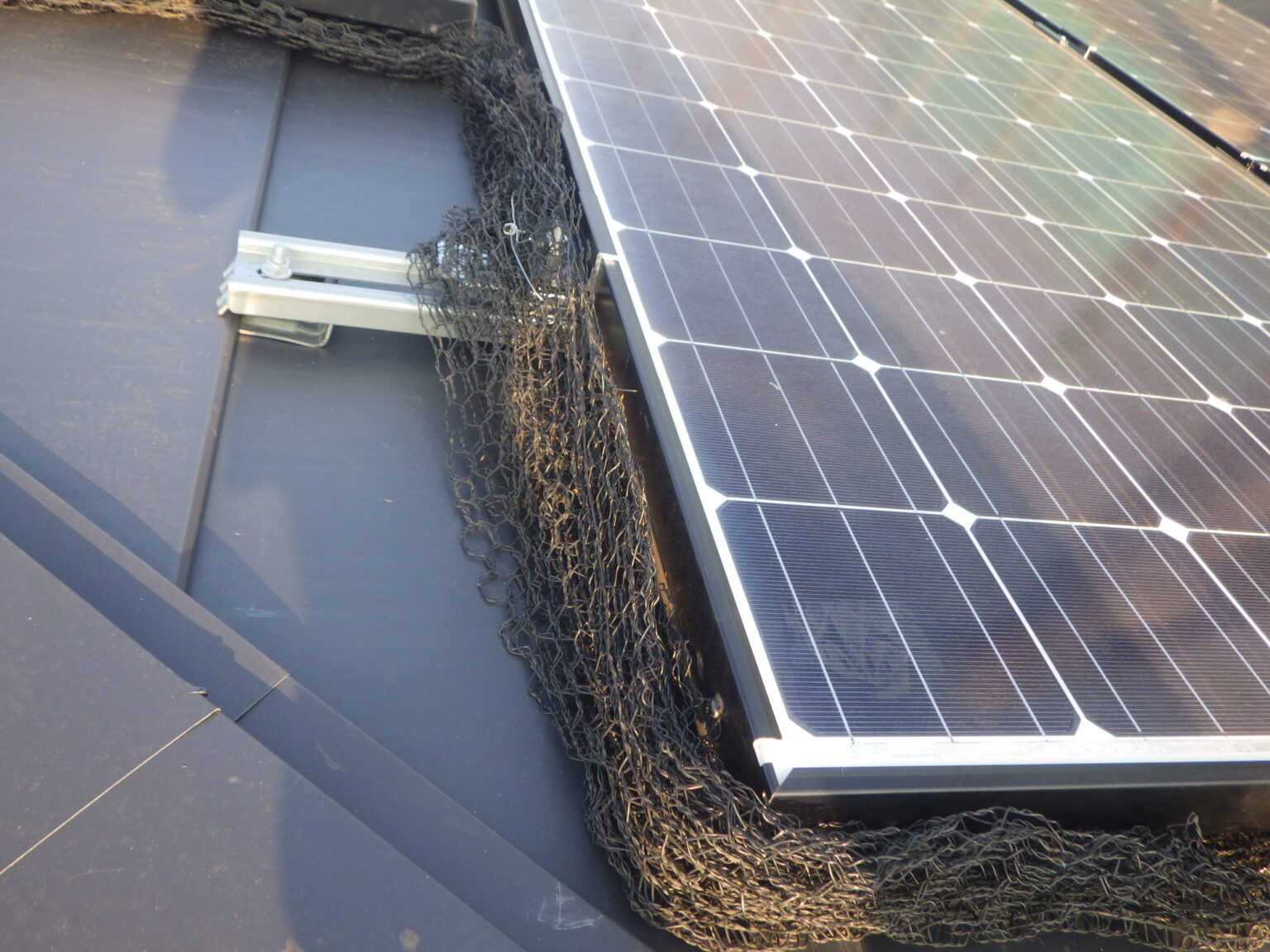 鳥よけ網を設置しました